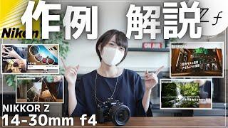 【神回】これで広角が上手くなる！Z14-30mmの作例解説。自分で撮った写真を言語化しよう！【NikonZf】