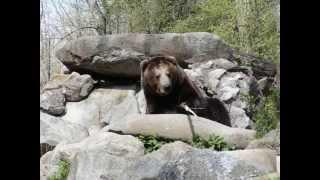 Tierpark Stadt Haag