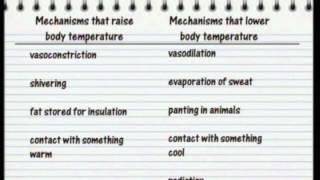 GCSE BBC Science Bitesize - Homeostasis