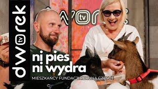 Fundacja Peruna i jej mieszkańcy | Świat na głowie #144