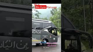 Viral Bus 2023