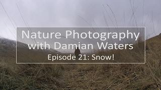 Nature photography with Damian Waters - Episode 21: Snow!