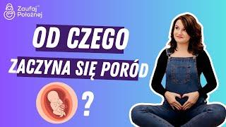 Od czego zaczyna się poród?