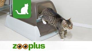 Selbstreinigende Katzentoilette mit Silikat-Katzenstreu | ScoopFree | zooplus.de