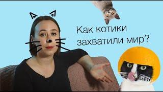 Как коты захватили мир?