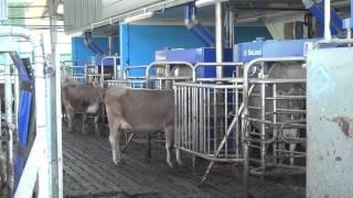 DeLaval Robotic Milkers Beyond the Burn Mouswald. gtritchie5.