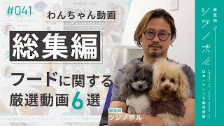 【総集編】歴20年獣医師が本当に知ってほしいフードの話まとめ【獣医師ツジノボル】