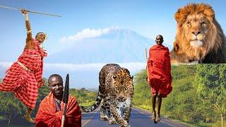 History of Africa in 17th to 20th Century | Maasai Vs Chagga Tribe