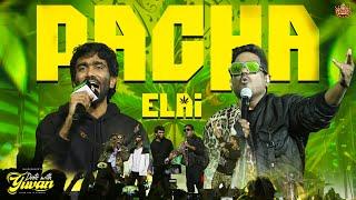 Pacha Elai - song  | DATE WITH YUVAN | PRADEEP RANAGANATHAN  | YUVAN LIVE CONERT |