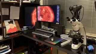 Zeiss Primo star  Phase contrast Microscope