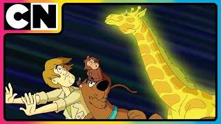 Scooby Doo | Gang’s Faceoff with Octoagle! | #compilation | #90s | @cnindia