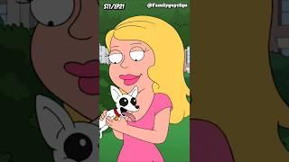 Brian's Dream plastic surgery ! | Family guy funny moments !!!