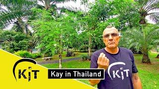 Was kostet ein Langzeiturlaub in Thailand?