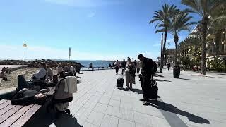 Torrevieja TODAY 27/2/25 News for you
