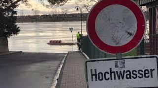 Hochwasser in Mondorf am Rhein Februar 2021