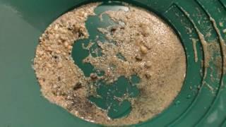 Gold Rush Panning Kit Half Pound Of Pay Dirt Included Review