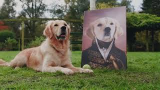 How To Order A Crown And Paw Portrait of Your Pet