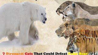 7 Strongest Cats in History That Could Defeat A Polar Bear || Big Cats That Can Kill Polar Bears