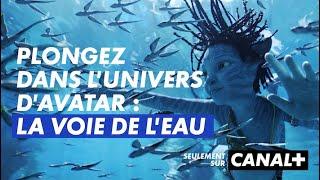 Avatar : la Voie de l'eau | Déjà sur CANAL+