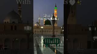 say insha allah️ #shorts #shortvideo #youtubeshorts