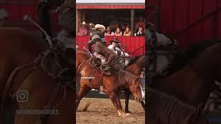 I bet everything about that  hurt  @Hardgrass Bronc Match friday ranch broncs