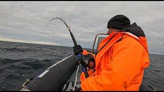 МОРСКАЯ СЕВЕРНАЯ РЫБАЛКА / SEA NORTHERN FISHING