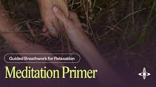 Meditation Primer | Guided Breathwork Meditation (15 minutes)