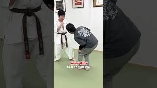 Секретный удар каратэ пяткой в точку #shorts #karate #каратэ #lowkick #лоукик