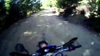 Медведь и байкер