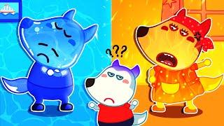 Don't Separate Water and Fire | Very Happy Story - Kids Stories about Family  Wolfoo Kids Cartoon