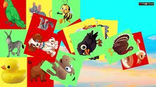 Nursery rhymes | kids Songs For baby | Preschool Videos With Animal Sounds#chuchutv