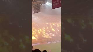 Ich Kotze in den Wald Dynamo Dresden vs Halle. Pyro Wahnsinn #shorts