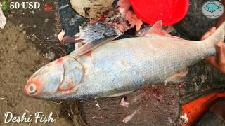 Big Rawas Fish Cutting II Formidable Indian Salmon Cutting Skills By Fisherman At Fish Market