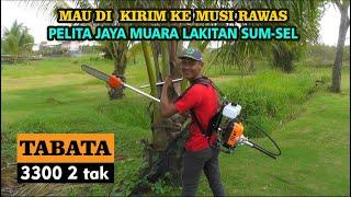 Test pruning pelepah kelapa pakai mesin rumput tabata 3300 || Feelnya dapat banget guys!