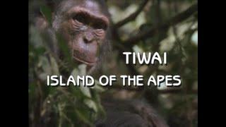 Tiwai: Island of the Apes (1992)