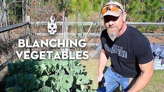 Blanching the Vegetables