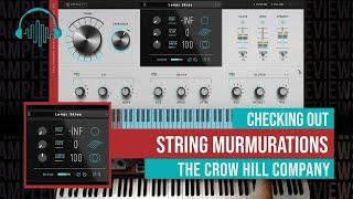 Checking Out: String Murmurations by The Crow Hill Company