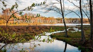 Patuxent Research Refuge