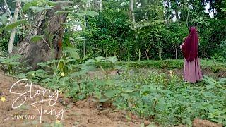 Visiting Parents' House Harvesting Genjer Vegetables   ||Daily Vlog Housewife