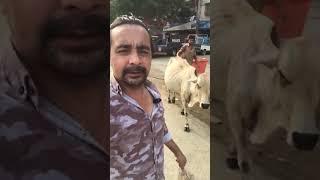 hasamuddin vlogs live in Karachi good  Morning