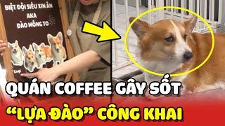 Quán coffee cho khách "LỰA ĐÀO" công khai gây sốt giới trẻ  | Yêu Lu