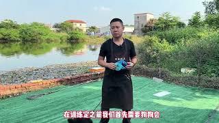 怎么样让狗在原地等待主人，这个训练方法太简单了，教程在这#宠物 #训犬师 #训狗