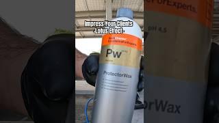 Koch Chemie Protector Wax | Mobile Detailing Business Tip | Green Light 🟢 or Red Light  ?