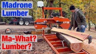 Does Madrone Make Good Lumber? Let's Find Out on Woodmizer LT15 Sawmill