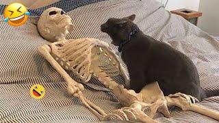 Funniest Animals 2023  Best Funny Cats and Dogs Videos  Part 20