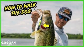 HOW TO WALK a TOPWATER LURE! ( FISHING TIPS )