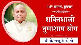 LIVE: नुमाशाम का योग | Evening Meditation  COMMENTARY के साथ | BK Raju Bhai Ji | 14 August 2024