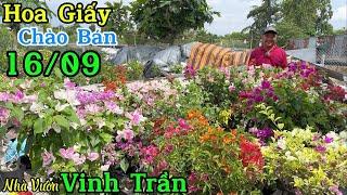 Hoa giấy 180k nhiều loại ghép nhiều màu giao lưu ngày 16/09  0939.925.753 Vinh Trần