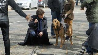 Filming With The Dog | Sherlock