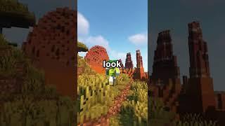 Minecraft's Best Texture Pack